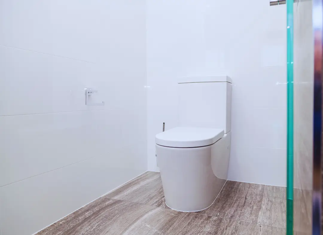 Remplacement de wc Caissargues